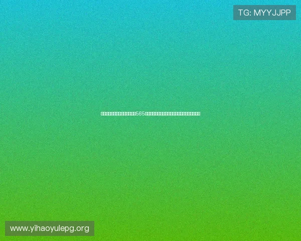 专业打造世界杯主题报道页面，565体育娱乐网页助力用户第一时间掌握赛事最新动态